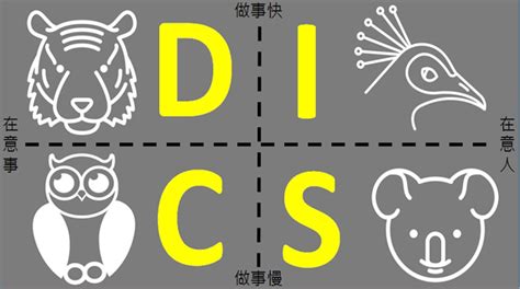 考慮 老虎|你是老虎、孔雀、無尾熊，還是貓頭鷹？用「DISC人格測。